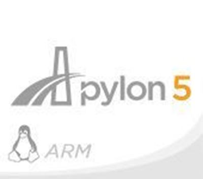 Pylon Linux ARM